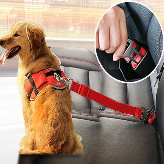 Dogs Accessoires Pets Products